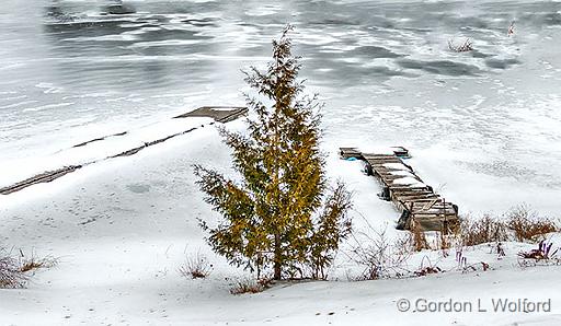 Pine Between Two Docks_P1020249-51.jpg - Photographed along the Rideau Canal Waterway at Rideau Ferry, Ontario, Canada.